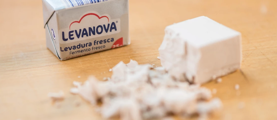 Dados de levadura fresca de Levanova