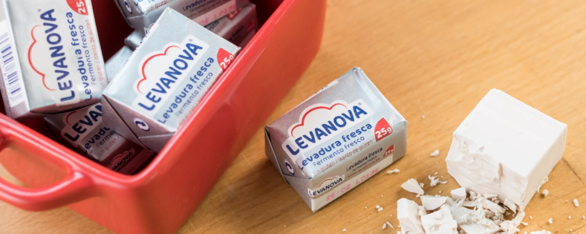 Levadura fresca o levadura seca