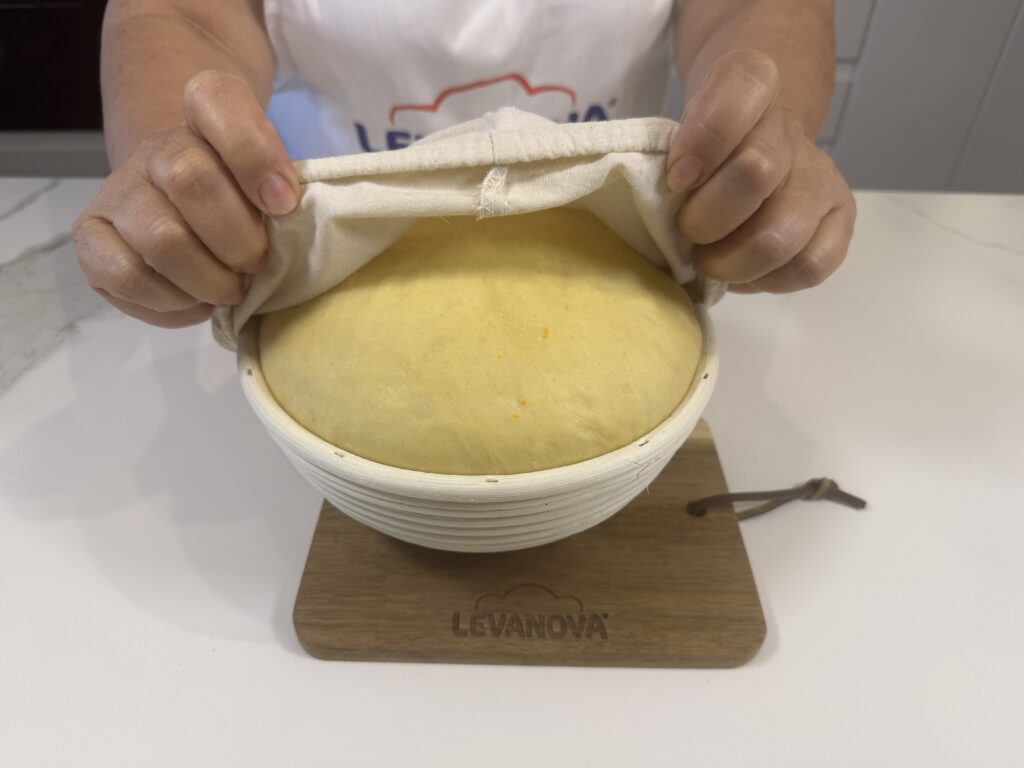 Masa de la coca fermentada y duplicada en volumen